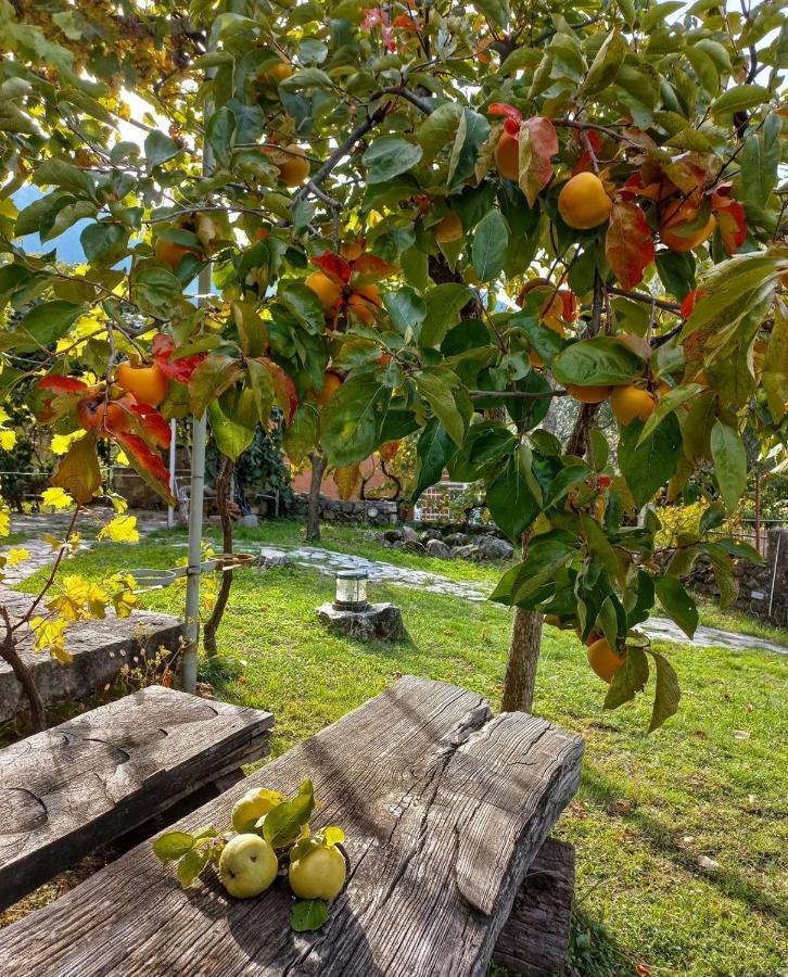 Sailor'S Rustic House Villa Virpazar Luaran gambar