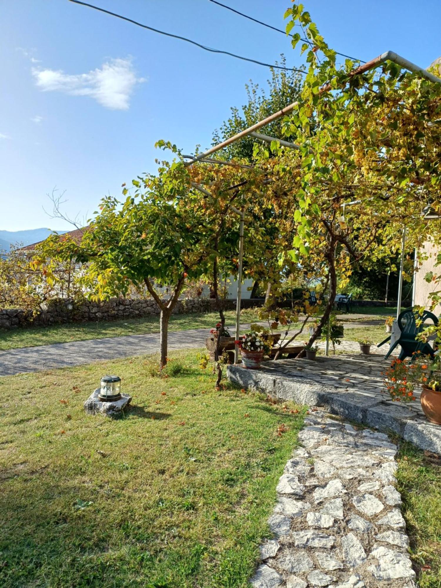 Sailor'S Rustic House Villa Virpazar Luaran gambar