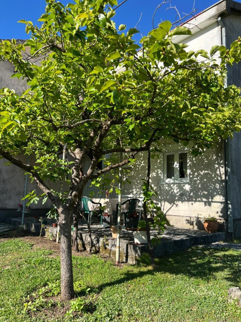 Sailor'S Rustic House Villa Virpazar Luaran gambar