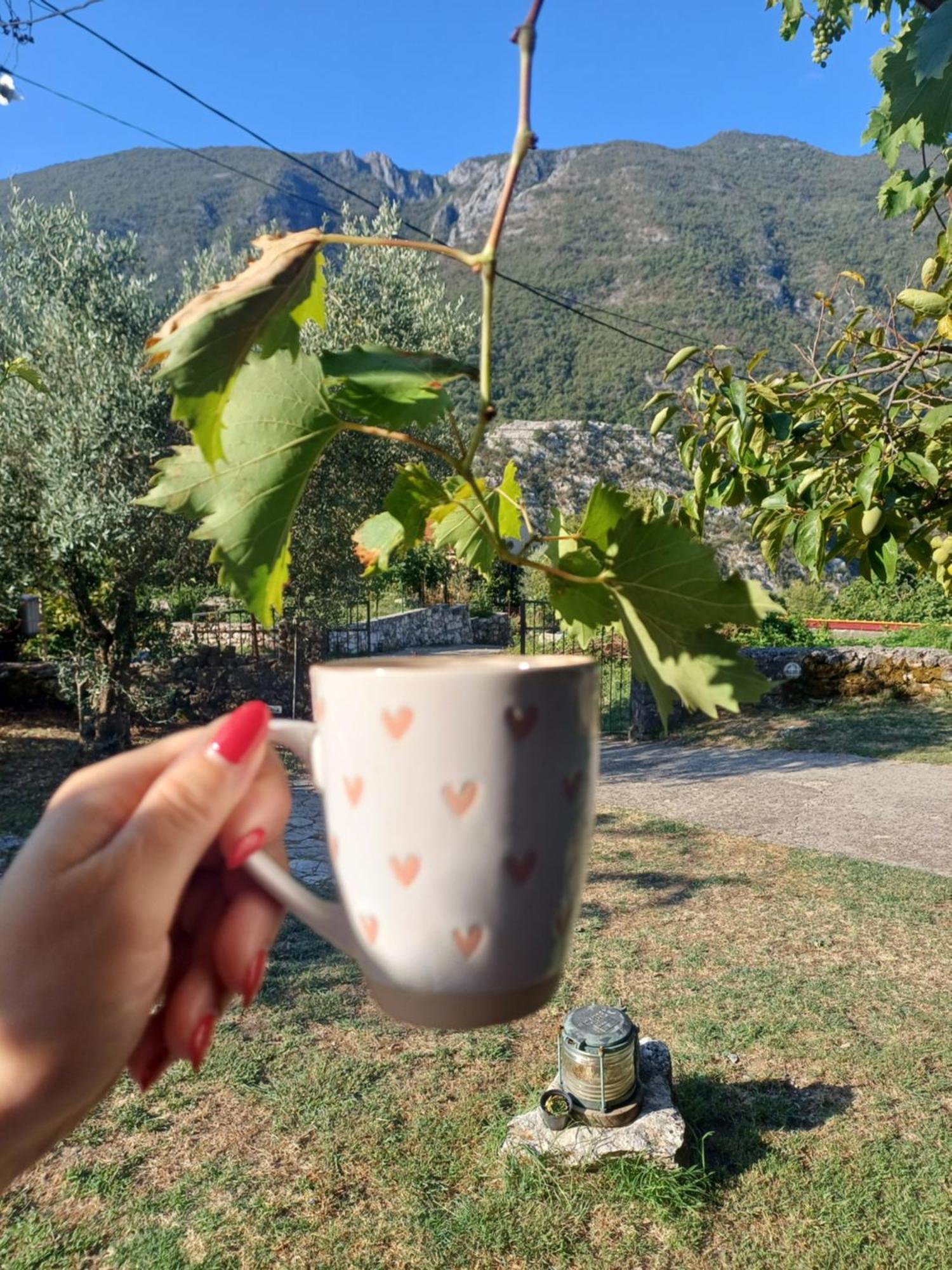 Sailor'S Rustic House Villa Virpazar Luaran gambar